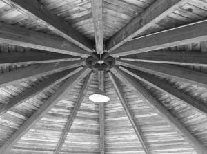 10359474_453522001450935_127089373_o