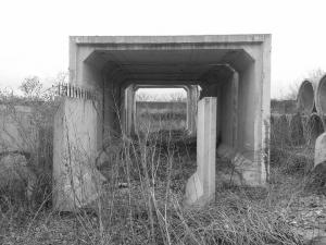 1560372_401083683361434_311161686_n