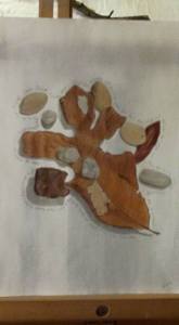 leaves, stones, pistachio shells